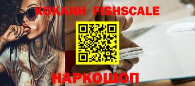 гидропоника Камышлов