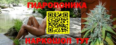 гидропоника Камышлов