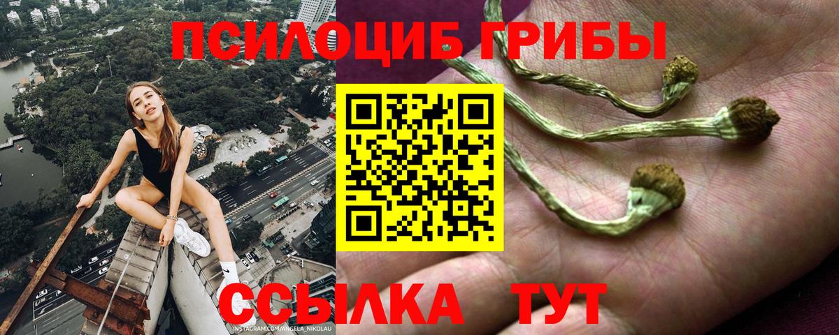 Псилоцибиновые грибы мухоморы  где купить наркоту  Щёкино  Вход с VPN  Галлюциногенные грибы Cubensis 